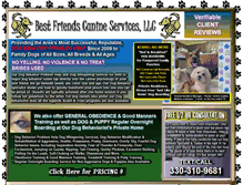 Tablet Screenshot of best-friends-canine-services.com